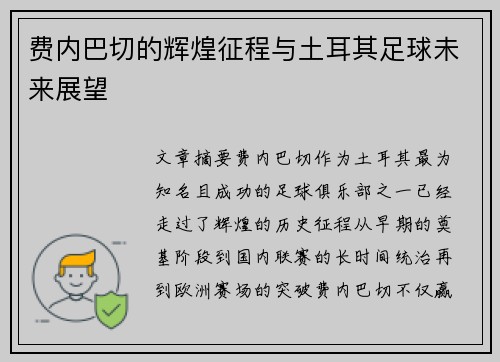 费内巴切的辉煌征程与土耳其足球未来展望 费内巴切的辉煌征程与土耳其足球未来展望
