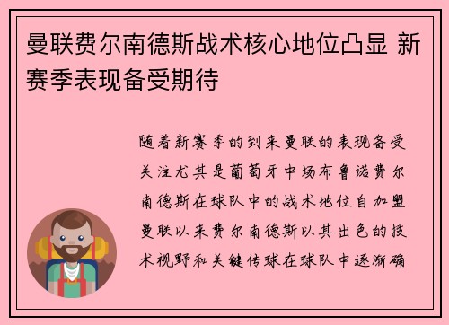 曼联费尔南德斯战术核心地位凸显 新赛季表现备受期待